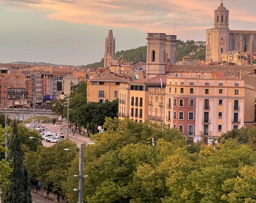 WhatsApp Image 2026-02-25 at 19.36.33 (6)